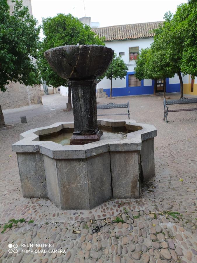 Alojamiento Casa Tipica De Cordoba Ngoại thất bức ảnh