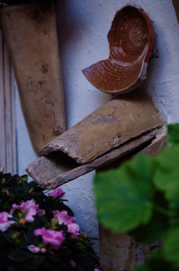 Alojamiento Casa Tipica De Cordoba Ngoại thất bức ảnh